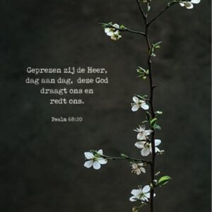 Kaartcadeau Geprezen zij de Heer - MA37012 -  Kaarten bij MajesticAlly