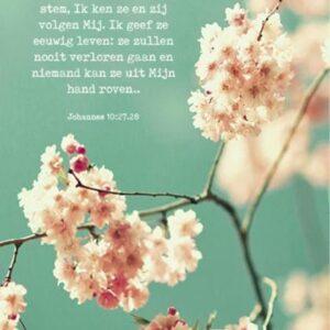 Kaartcadeau Mijn schapen luisteren naar Mijn stem - MA37034 -  Kaarten bij MajesticAlly