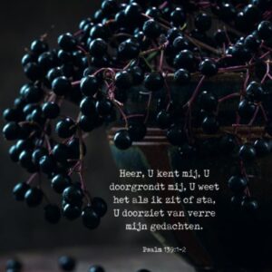 Poster A4 'Heer, U kent mij' - MA37123 -  Posters A4 bij MajesticAlly