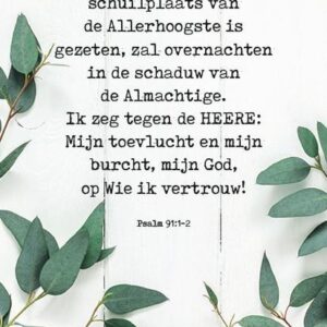 Voordeelkaart 'Wie in de schuilplaats' - MA38025 -  Voordeelkaarten christelijk bij MajesticAlly