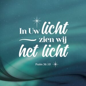 Kerstkaart 'In Uw licht' - 454109 -  Kerst-Morgenster bij MajesticAlly