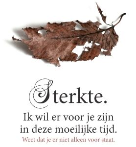 Sterkte - 552585 -  Sterkte & Deelneming bij MajesticAlly