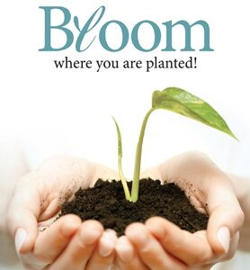 Bloom... - 552535 -  Kaarten bij MajesticAlly