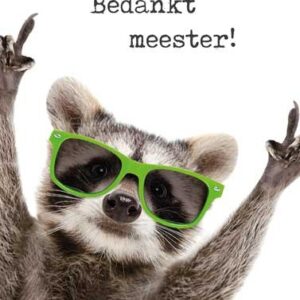 Voordeelkaart 'Bedankt meester - wasbeer' - MA38067 -  Voordeelkaarten christelijk bij MajesticAlly