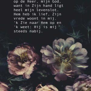 Opwekking 42 - 552658 -  Opwekking bij MajesticAlly