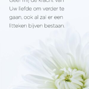 Opwekking 629 - 552667 -  Opwekking bij MajesticAlly