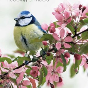 Opwekking 658 - 552686 -  Opwekking bij MajesticAlly