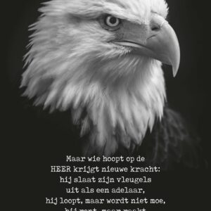 Metal Deco A3 'Wie hoopt op de Heer' - MA11622 -  Metal Deco bij MajesticAlly