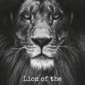 Metal Deco A3 'Lion of the tribe of Judah' - MA11623 -  Metal Deco bij MajesticAlly