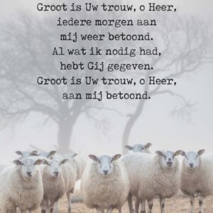 Poster A4  Groot is Uw trouw - Opwekking 123 - 552685P -  Posters bij MajesticAlly