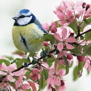 Poster A4  In Uw naam in redding en hoop - Opwekking 658 - 552686P -  Posters bij MajesticAlly