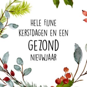 Kerstkaart 'Gezond Nieuwjaar' - MA26238 -  Christelijke kerstkaarten bij MajesticAlly