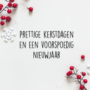 Kerstkaart 'Besjes' - MA26241 -  Christelijke kerstkaarten bij MajesticAlly