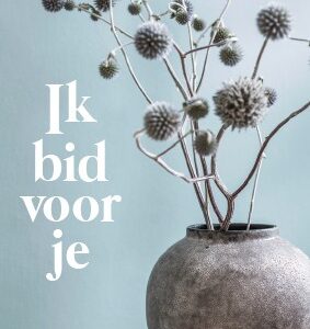 Minikaart 'Ik bid voor jou' - 552600MK -  Minikaartjes bij MajesticAlly