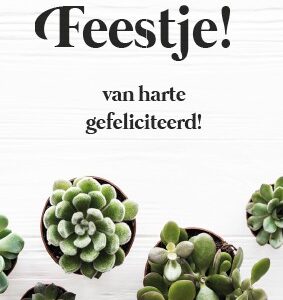 Minikaart 'Feestje!' - 552602MK -  Minikaartjes bij MajesticAlly