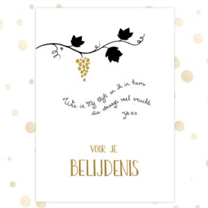 Kaart 'Voor je belijdenis' - MA36034 -  Golden Blessings bij MajesticAlly