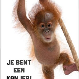 Voordeelkaart 'Je bent een kanjer - aapje' - MA38092 -  Voordeelkaarten christelijk bij MajesticAlly
