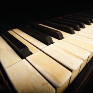 Kaart 'Piano' - MA40004 -  Landelijk bij MajesticAlly