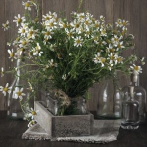 Kaart 'Margrieten' - MA40009 -  Landelijk bij MajesticAlly