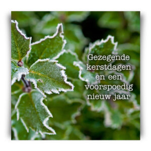 Kerstkaart 'Hulsttak' - MA12252 -  Christelijke kerstkaarten bij MajesticAlly