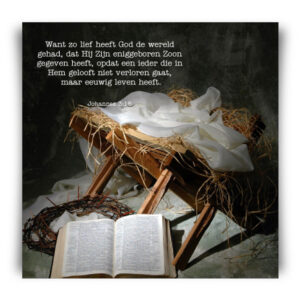 Kerstkaart 'Kribbe' - MA12263 -  Christelijke kerstkaarten bij MajesticAlly