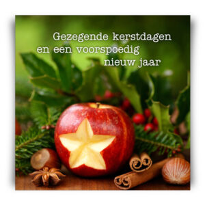 Kerstkaart 'Ster in appel' - MA12267 -  Christelijke kerstkaarten bij MajesticAlly