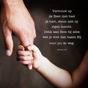 Kaart 'Vertrouw op de Heer' - MA12003 -  Lifestyle bij MajesticAlly