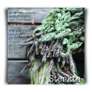 Kadokaartje sterkte - MA12125 -  Cadeaukaartjes bij MajesticAlly