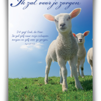 Poster A4 'Ik zal voor je zorgen' - 46806 -  Wanddeco/posters bij MajesticAlly