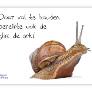 Poster A4 door vol te houden - 46711 -  Wanddeco/posters bij MajesticAlly