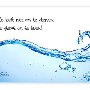 'Je leeft niet om te sterven' - MA10034 -  Volwassendoop