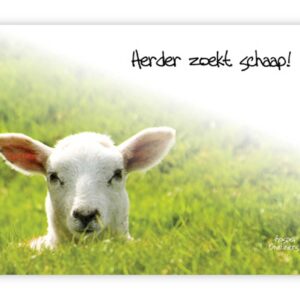 'Herder zoekt schaap! - MA10039 -  Quotes