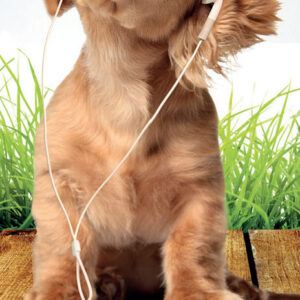 Boekenlegger praise the Lord - MA11408 -  David Sorensen bij MajesticAlly