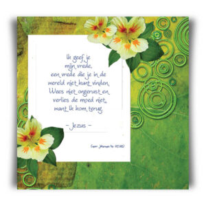 Kaart 'Ik geef je Mijn vrede' - 45035 -  Bible Message bij MajesticAlly