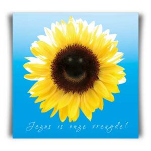 Kaart 'Jezus is onze vreugde!' - MA11008 -  David Sörensen bij MajesticAlly