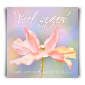 Kaart 'Veel zegen! - MA11013 -  David Sörensen bij MajesticAlly