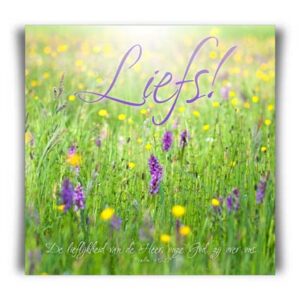 Kaart 'Liefs' - MA11029 -  Valentijn bij MajesticAlly