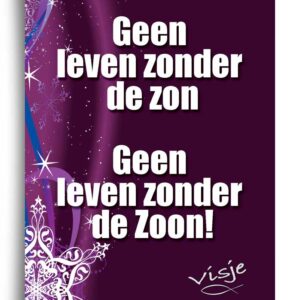 Kerstkaart 'Geen leven zonder de zon' - Visje - 44204 -  Visje kerstkaarten bij MajesticAlly