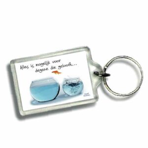 Sleutelhanger alles is mogelijk - 46625 -  Gospel Oneliner bij MajesticAlly