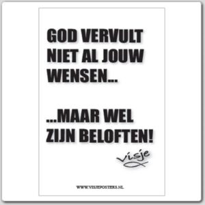 Kaart visje God vervult niet al jouw - 44086 -  Visje kaarten bij MajesticAlly