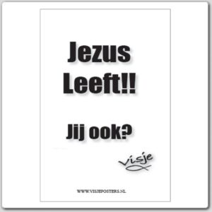 Kaart visje Jezus leeft jij ook - 44114 -  Visje kaarten bij MajesticAlly