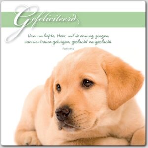 Wenskaart gefeliciteerd - 46179 -  Gefeliciteerd bij MajesticAlly