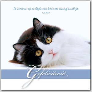 Wenskaart gefeliciteerd - 46180 -  Gefeliciteerd bij MajesticAlly