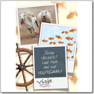 * Voordeelpakket 20 Visje wenskaarten - 46925 -  Pakjes kaarten bij MajesticAlly