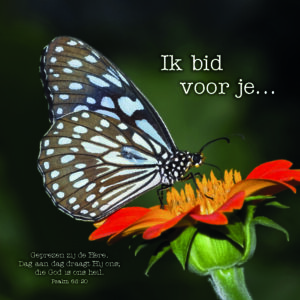kaart ‘Ik bid voor je' - MA12306 -  Ik bid voor je / denk aan je bij MajesticAlly