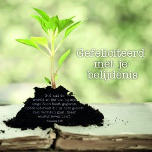 kaart ‘Gefeliciteerd met je belijdenis Joh 3:16’ - MA12307 -  Belijdenis bij MajesticAlly