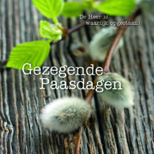 kaart ’Gezegende Paasdagen ‘ De Heer is waarlijk opgestaan' - MA12314 -  Pasen bij MajesticAlly