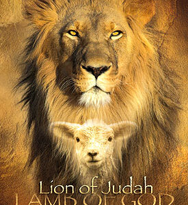 Poster 50x70  'Lion of Judah' - MA11338 -  Posters XL  bij MajesticAlly