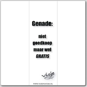 Boekenlegger visje genade niet goedkoop - 44868 -  Visje bij MajesticAlly