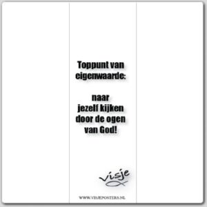 Boekenlegger visje toppunt van eigenwaar - 44872 -  Visje bij MajesticAlly